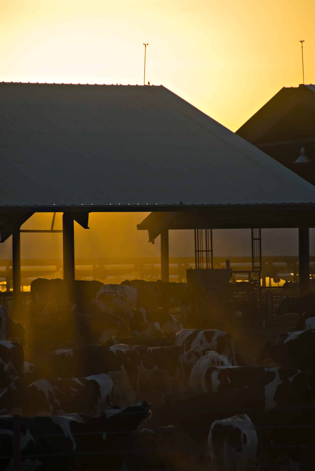 Agriculture